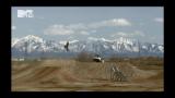 7 - Nitro Circus