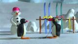 25 - Pingu rokkaa