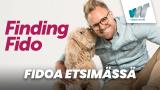 Fidoa etsimässä