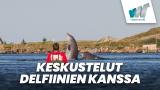 Keskustelut delfiinien kanssa