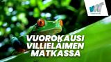 Vuorokausi villieläimen matkassa