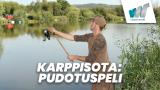 Karppisota: Pudotuspeli