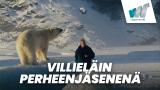 Villieläin perheenjäsenenä