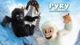 Pyry - Valkoinen gorilla (7)