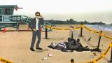 11 - Crime Steve Investigation