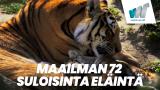 Maailman 72 suloisinta eläintä