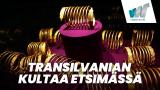 Transilvanian kultaa etsimässä