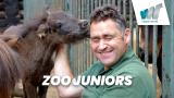 Zoo Juniors
