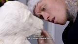 32 - Punakuono ja piparkakkutalo