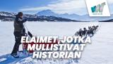 Eläimet, jotka mullistivat historian