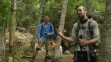 10 - White Mountain -kansallismetsä