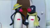 20 - Pingu ja tarrat