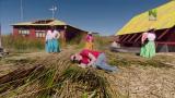 9 - Titicaca-järven vesisammakko