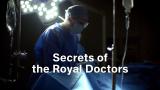 Secrets of the Royal Doctors (Paramount+)