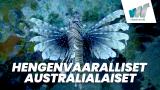 Hengenvaaralliset australialaiset