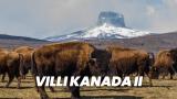 Villi Kanada II