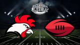 Roosters - Steelers