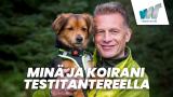 Minä ja koirani testitantereella