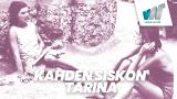 Kahden siskon tarina