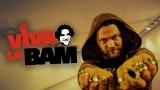 Viva La Bam
