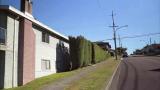 9 - Piha koiralle