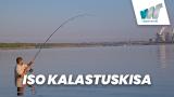 Iso kalastuskisa