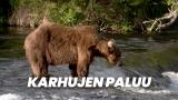 Karhujen paluu