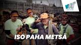 Iso paha metsä