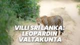 Villi Sri Lanka: Leopardin valtakunta