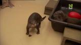 3 - Bella & Bubbles / Molly & Bonny