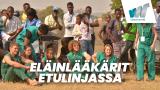 Eläinlääkärit etulinjassa