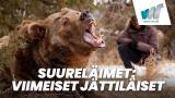 Suureläimet: Viimeiset jättiläiset