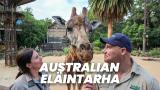 Australian eläintarha