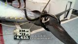 12 - Osumia vai huteja