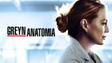 Greyn anatomia