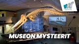 Museon mysteerit