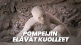 Pompeijin elävät kuolleet