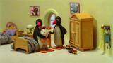 6 - Pingu raukka