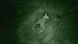7 - Buried Alive / 6 Star Review / Public Speaking