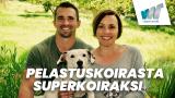 Pelastuskoirasta superkoiraksi