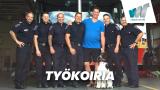 Työkoiria