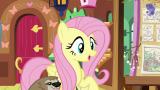 5 - Fluttershy ottaa ohjat