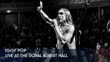 1 - Iggy Pop - Live at the Royal Albert Hall