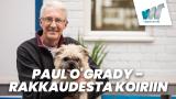 Paul O'Grady - rakkaudesta koiriin
