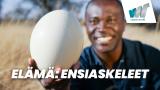 Elämä: Ensiaskeleet
