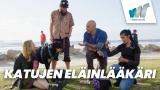 Katujen eläinlääkäri