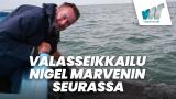 Valasseikkailu Nigel Marvenin seurassa