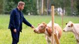 6 - Ei savua ilman tulta
