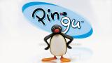 Pingu