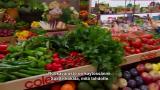 41 - Kotiinkuljetuksia